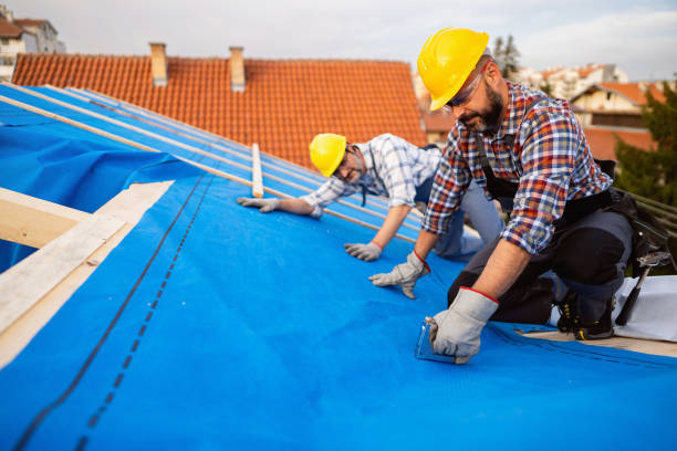 Best Local Roofing Companies  in Attla, AL